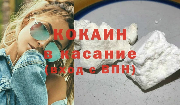 сатива Бронницы