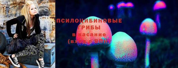не бодяженный Бородино