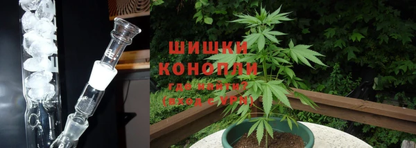 сатива Бронницы