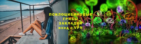 сатива Бронницы
